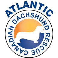 Atlantic Canadian Dachshund Rescue