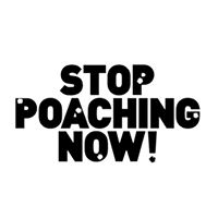 Stop Poaching Now