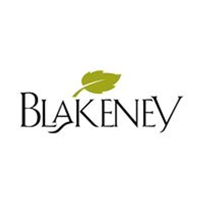 Blakeney Shopping Centers