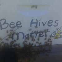 Charleston Community Bee Gardens