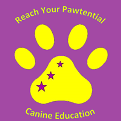 Reach Your Pawtential Dog Training Glasgow