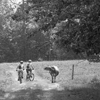 Mountain Bike Vermont - mtbvt.com