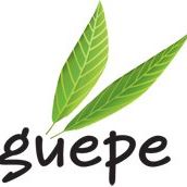 GUEPE