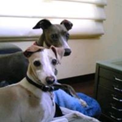 Astro & Tupak - Awesome Italian Greyhounds