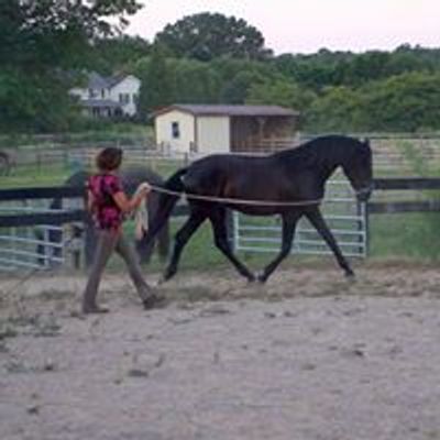 Alivio Equestrian Academy with Tina Legno