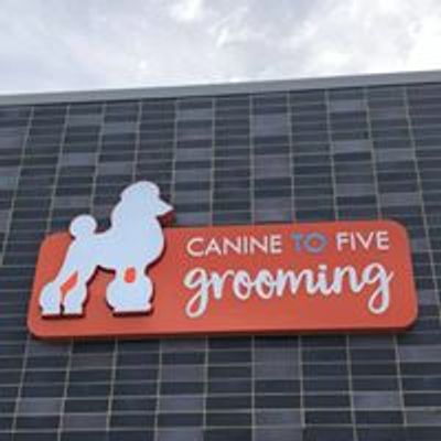Canine To Five Detroit