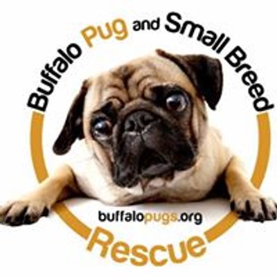 Buffalo Pug & Small Breed Rescue, Inc.