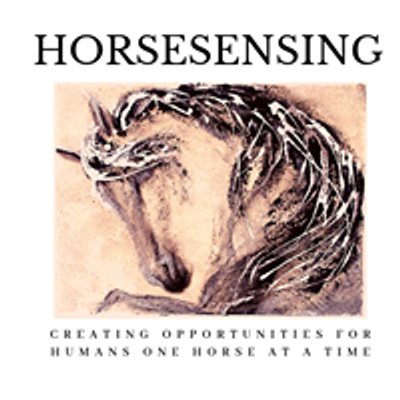 HorseSensing