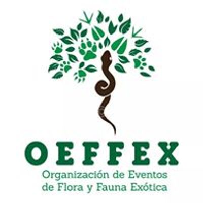 OEFFEX