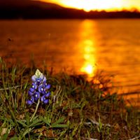 Inks Lake State Park - Texas Parks and Wildlife