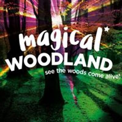 Magical Woodland