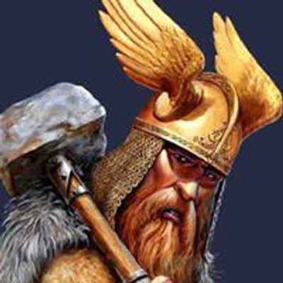 Vikingul Saltaret - agentia de turism a vacantelor tale