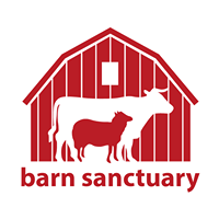 Barn Sanctuary