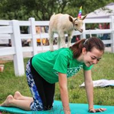 GOT Yoga   Goats of Tucson