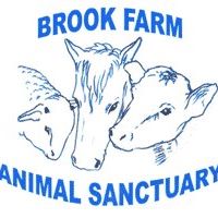 Brook Farm Animal Sanctuary