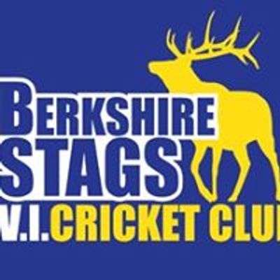 Berkshire Stags VI Cricket Club