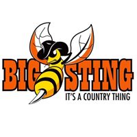 The Big Sting - It's a Country Thing