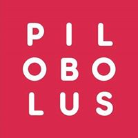 Pilobolus