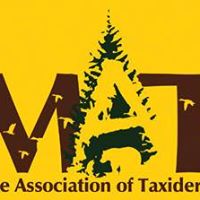 Maine Association Of Taxidermists