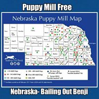 Puppy Mill Free Nebraska