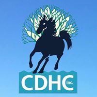 Currumbin District Horse Club Inc.