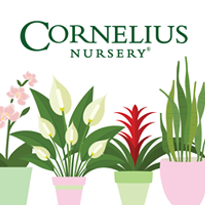 Cornelius Nursery