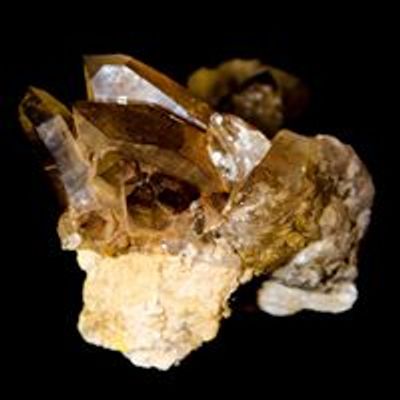 Vereinigung Steirischer Mineralien- und Fossiliensammler