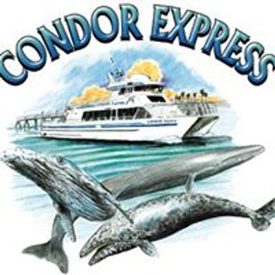 Condor Express Whale Watching