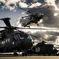 Junglie Cocktail Party