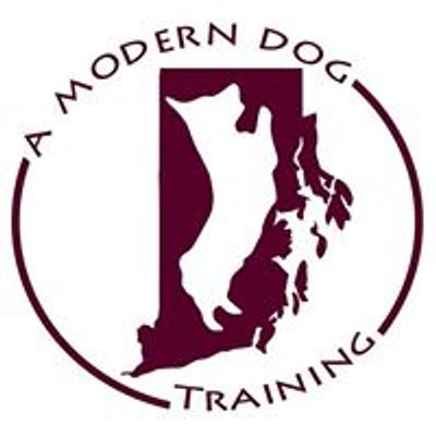 A Modern Dog Training