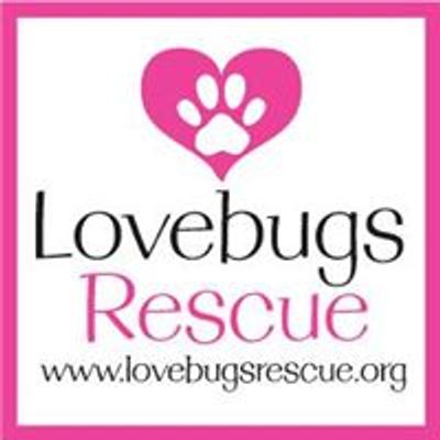 Lovebugs Rescue