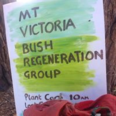 Mt Victoria Bush Regeneration Group