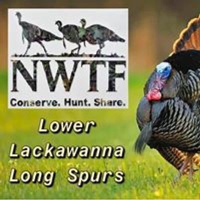 Lower Lackawanna Long Spurs