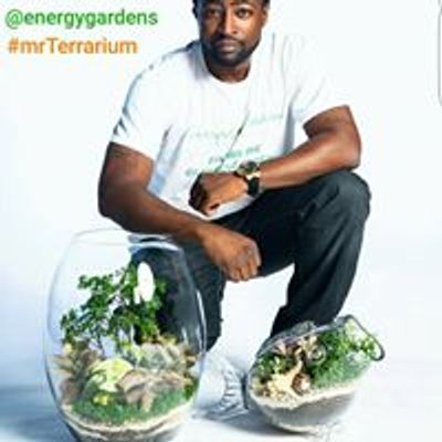 Energy Gardens Terrariums LLC