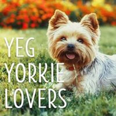 YEG Yorkie Lovers