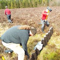 The Friends of Langlands Moss