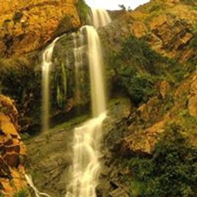 Walter Sisulu National Botanical Garden South Africa