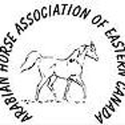 Arabian Horse Association of Eastern Canada