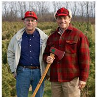 Shelby Christmas Tree Farm & Nursery