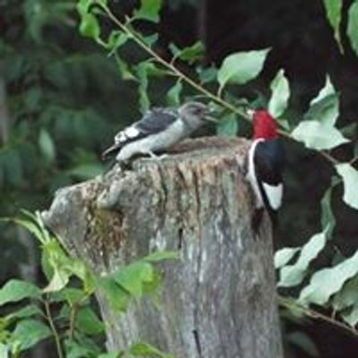 Chippewa Valley Audubon Club