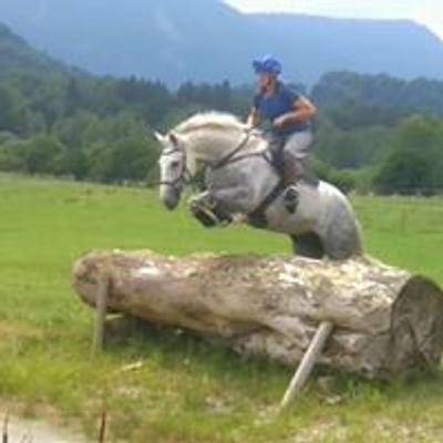 Meike Weber Eventing - Jungpferde auf dem Weg in den Turniersport