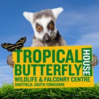 Tropical Butterfly House, Wildlife and Falconry Centre