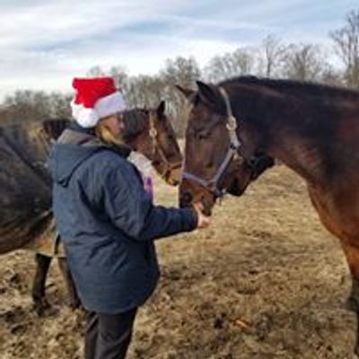 Standardbred Retirement Foundation - Adoptahorse.org