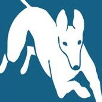 FastFriends Greyhound Adoption