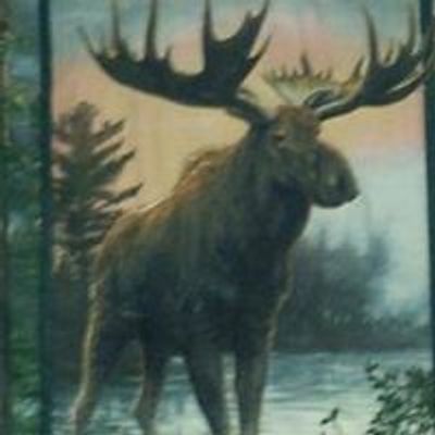 Escondido Moose Lodge 1874