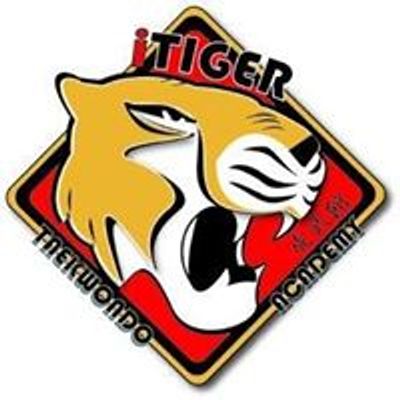 iTiger Tae Kwon Do Academy