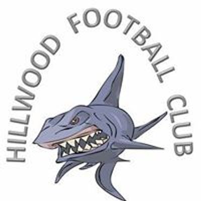 Hillwood Sharks football club