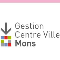 Mons Gestion Centre Ville