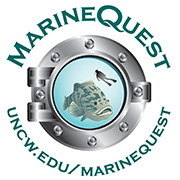 MarineQuest UNCW