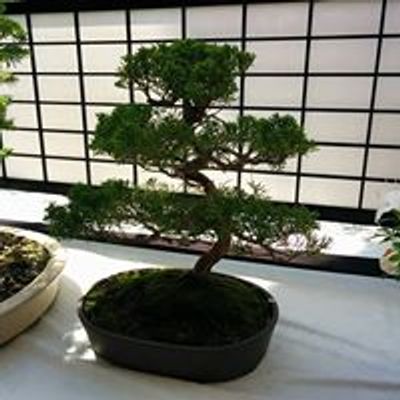 Kelowna Bonsai Club